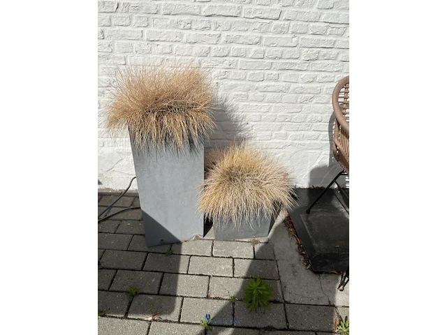 Partij bloembakken en buitenplanten - afbeelding 4 van  12