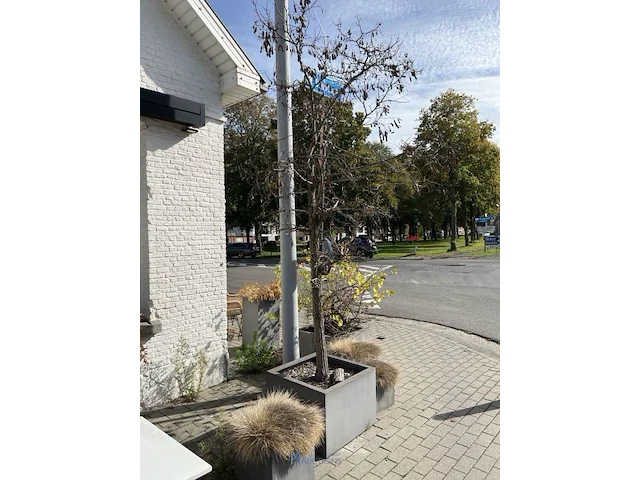 Partij bloembakken en buitenplanten - afbeelding 7 van  12