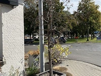 Partij bloembakken en buitenplanten - afbeelding 7 van  12