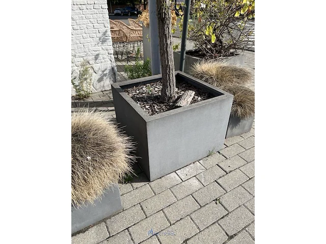 Partij bloembakken en buitenplanten - afbeelding 9 van  12