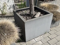 Partij bloembakken en buitenplanten - afbeelding 9 van  12