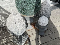 Partij bloembakken en buitenplanten - afbeelding 12 van  12