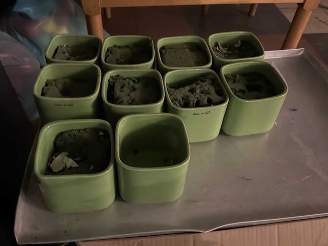 Partij bloempotjes - afbeelding 2 van  2