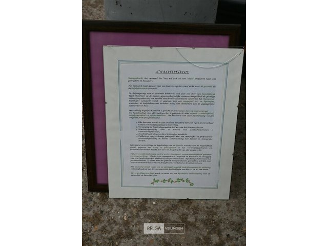 Partij bloempotten + kaders - afbeelding 4 van  6