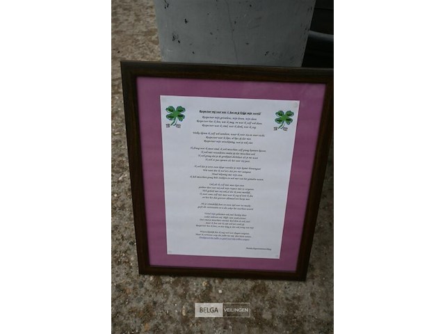 Partij bloempotten + kaders - afbeelding 6 van  6