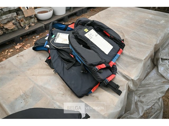 Partij bodyprotectors - afbeelding 7 van  7