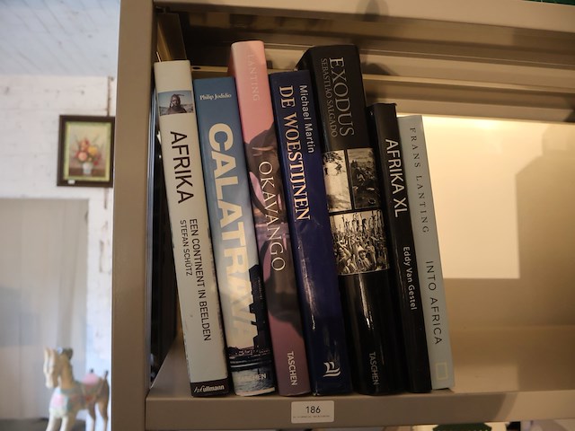 Partij boeken afrika - afbeelding 1 van  2