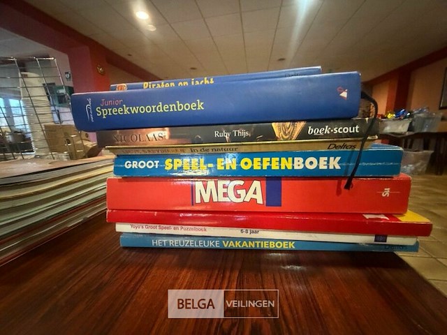 Partij boeken + mickey mouse - afbeelding 2 van  7