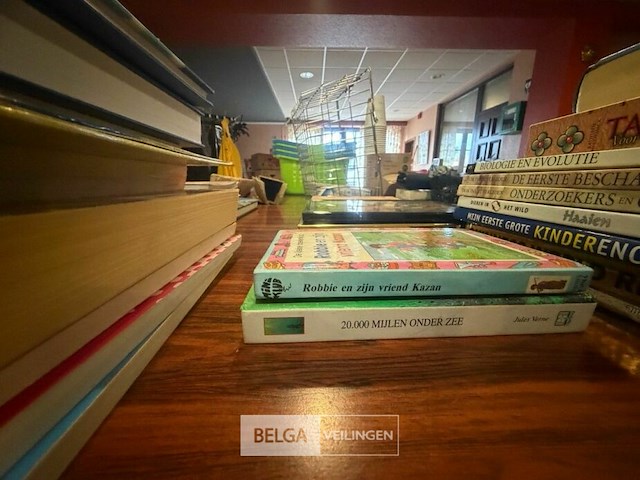 Partij boeken + mickey mouse - afbeelding 4 van  7