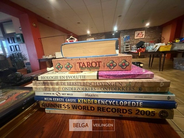 Partij boeken + mickey mouse - afbeelding 5 van  7