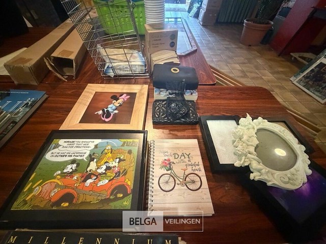 Partij boeken + mickey mouse - afbeelding 7 van  7