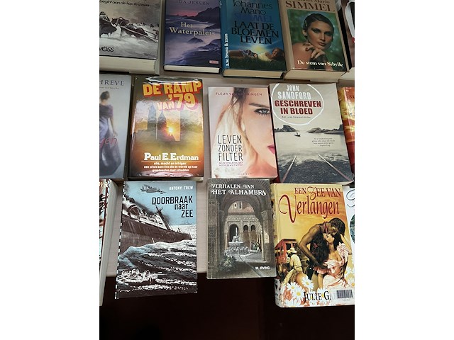 Partij boeken - afbeelding 5 van  8