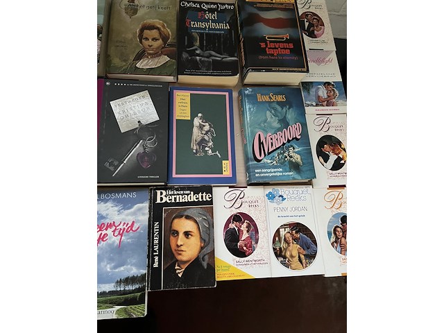 Partij boeken - afbeelding 7 van  8