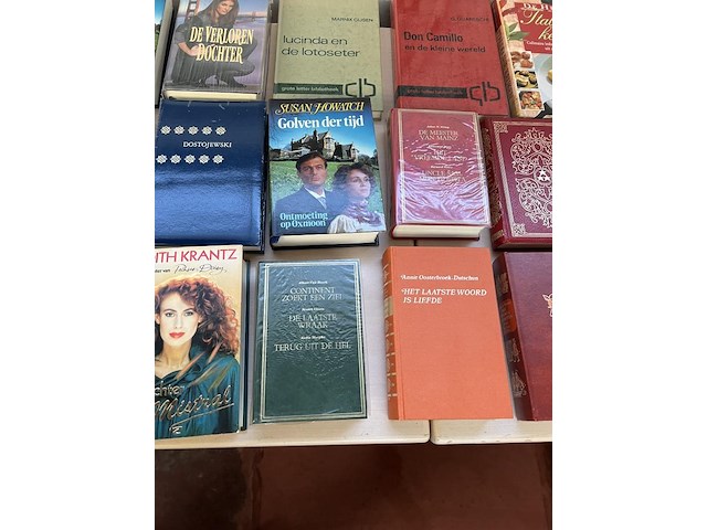 Partij boeken - afbeelding 6 van  11