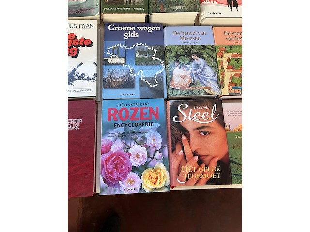 Partij boeken - afbeelding 8 van  11