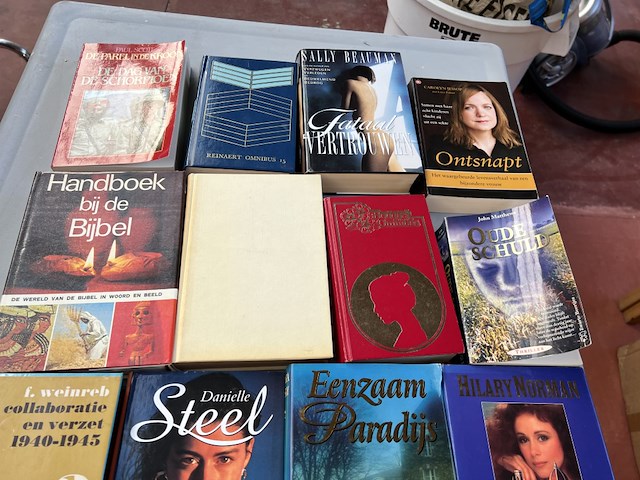 Partij boeken - afbeelding 11 van  11