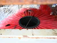 Partij borstel voor veegmachine - afbeelding 6 van  6