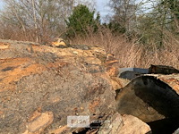 Partij brandhout ongeveer 9 m3 - afbeelding 2 van  3