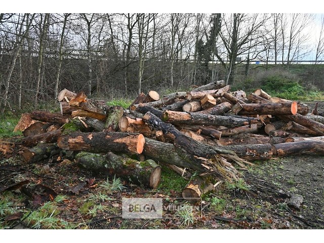 Partij brandhout - afbeelding 2 van  6