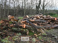 Partij brandhout - afbeelding 2 van  6