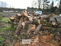 Partij brandhout - afbeelding 3 van  6