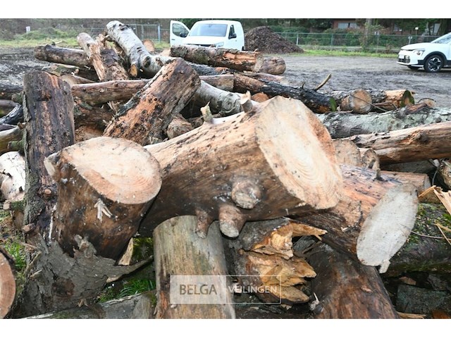 Partij brandhout - afbeelding 4 van  6
