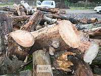 Partij brandhout - afbeelding 4 van  6