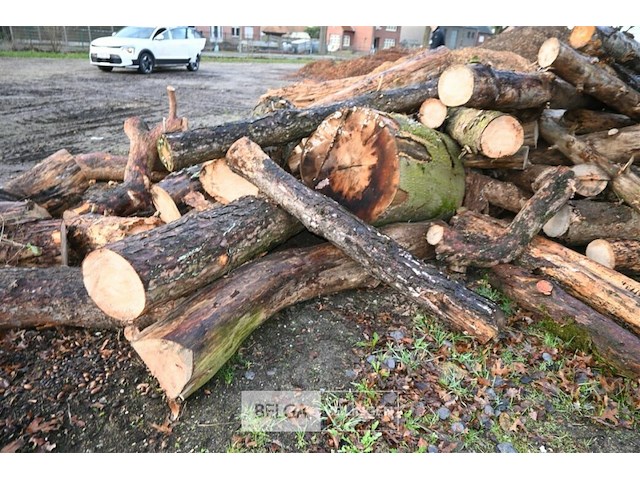 Partij brandhout - afbeelding 5 van  6