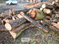 Partij brandhout - afbeelding 5 van  6
