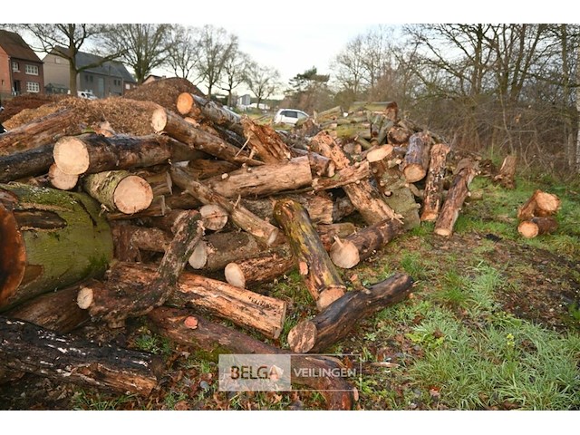 Partij brandhout - afbeelding 6 van  6