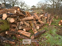 Partij brandhout - afbeelding 6 van  6