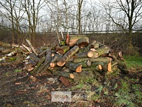 Partij brandhout - afbeelding 1 van  5