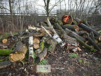 Partij brandhout - afbeelding 2 van  5