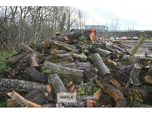 Partij brandhout - afbeelding 3 van  5