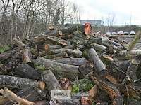 Partij brandhout - afbeelding 3 van  5