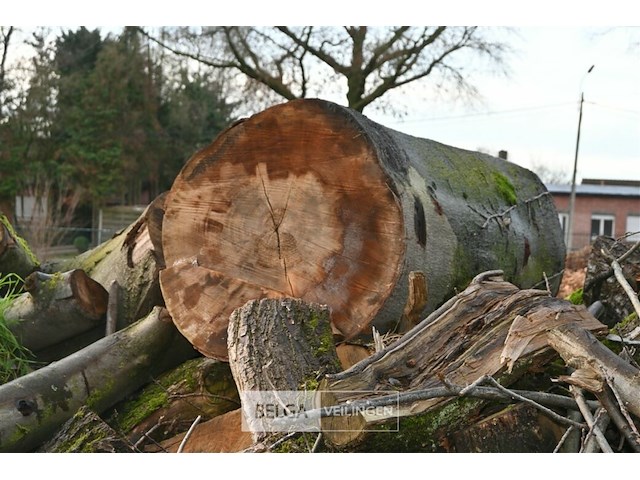 Partij brandhout - afbeelding 4 van  5