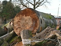 Partij brandhout - afbeelding 4 van  5