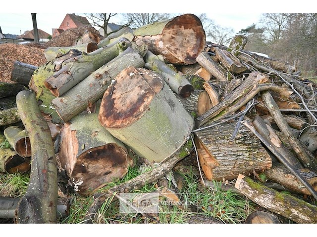 Partij brandhout - afbeelding 5 van  5