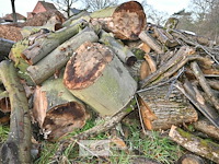 Partij brandhout - afbeelding 5 van  5