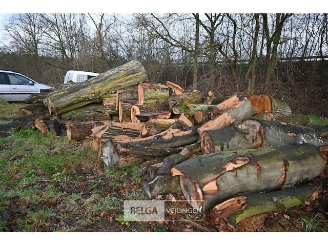 Partij brandhout - afbeelding 1 van  5