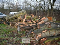 Partij brandhout - afbeelding 1 van  5