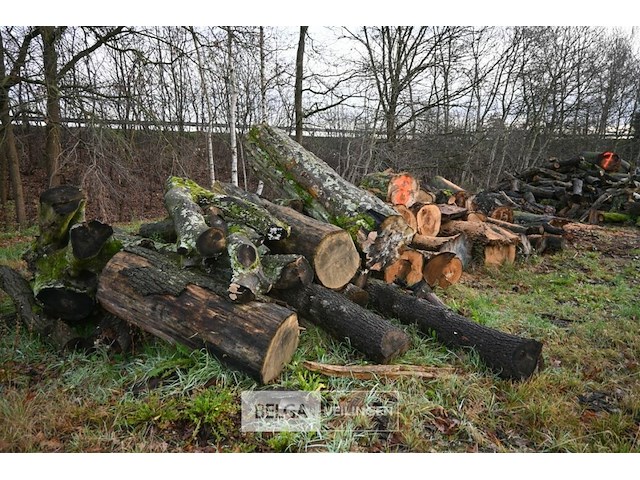 Partij brandhout - afbeelding 2 van  5