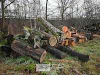 Partij brandhout - afbeelding 2 van  5