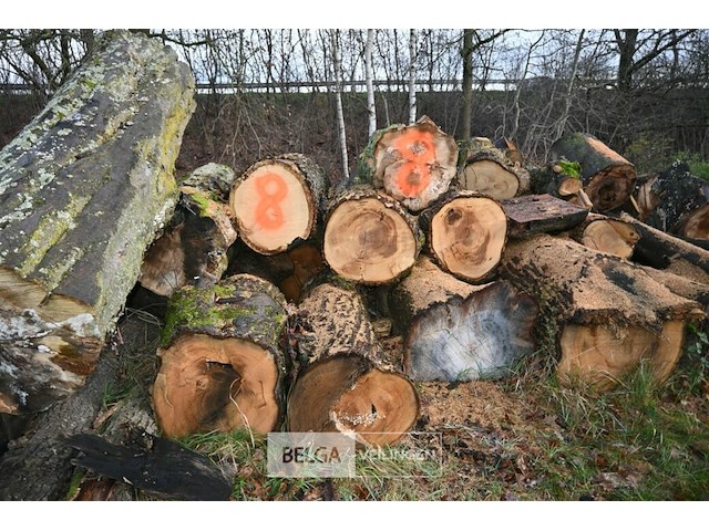 Partij brandhout - afbeelding 4 van  5