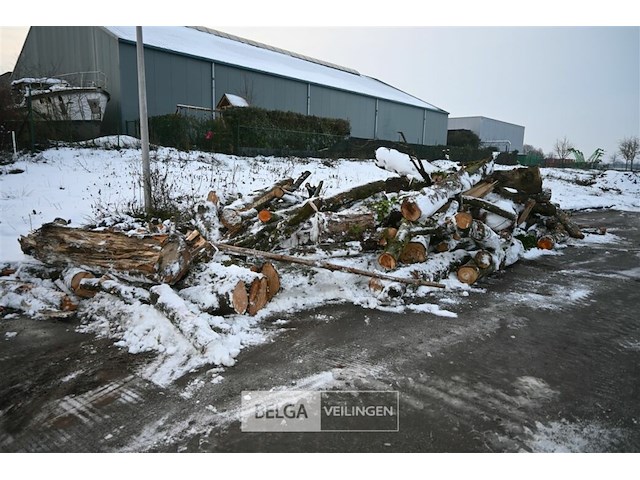 Partij brandhout - afbeelding 1 van  7