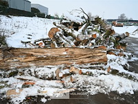 Partij brandhout - afbeelding 2 van  7