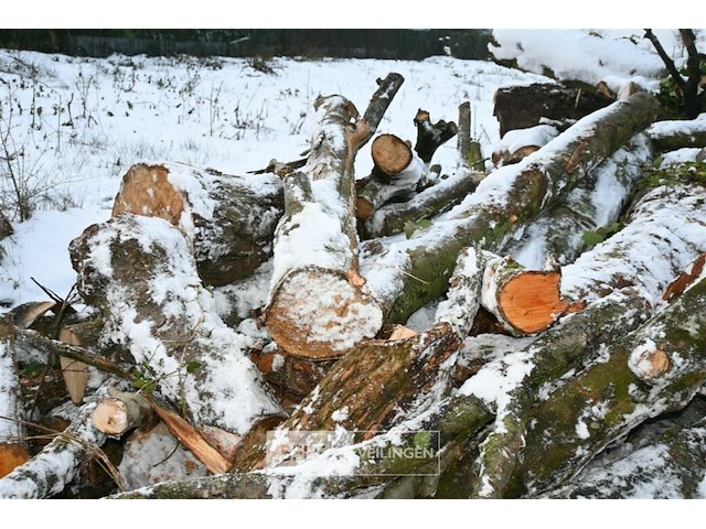 Partij brandhout - afbeelding 3 van  7