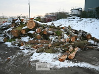 Partij brandhout - afbeelding 4 van  7