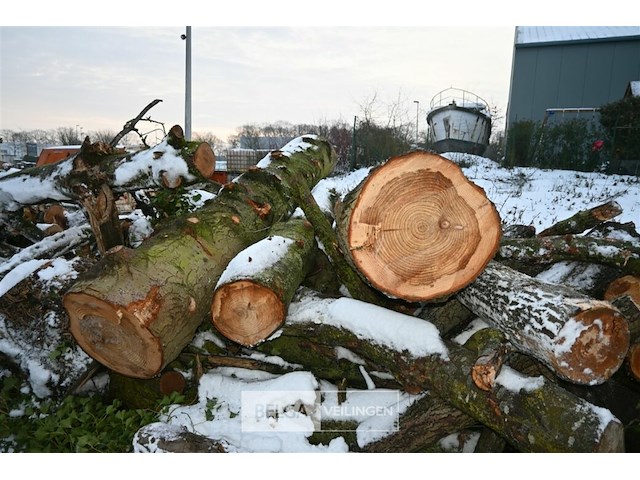 Partij brandhout - afbeelding 5 van  7