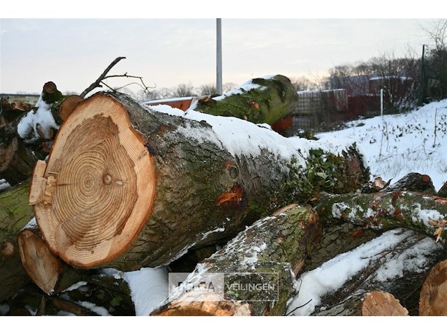 Partij brandhout - afbeelding 6 van  7